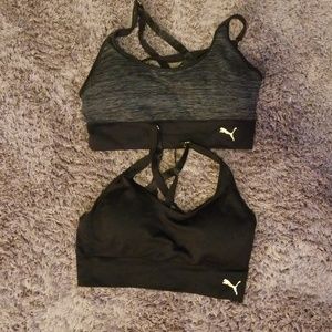 Puma sports bras